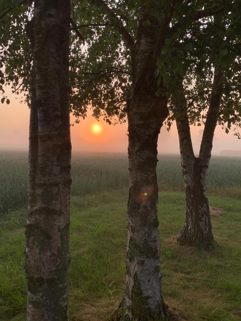 Romantic Luxus Glamping 1 Idestrup エクステリア 写真
